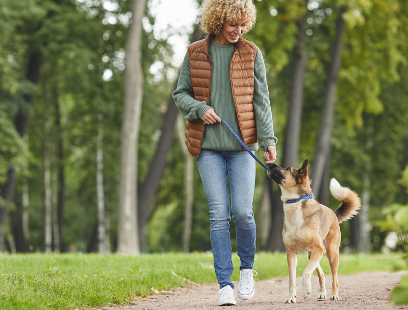 Helping leash reactive dog owners